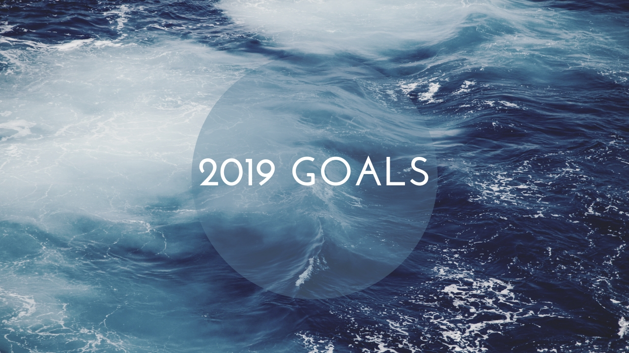 2019 GOALS